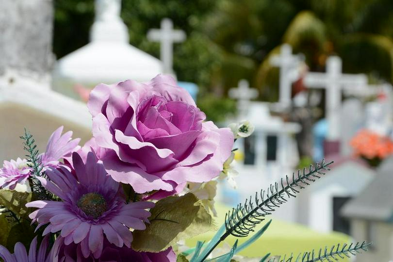 A picture of purple flowers in the church cemetery