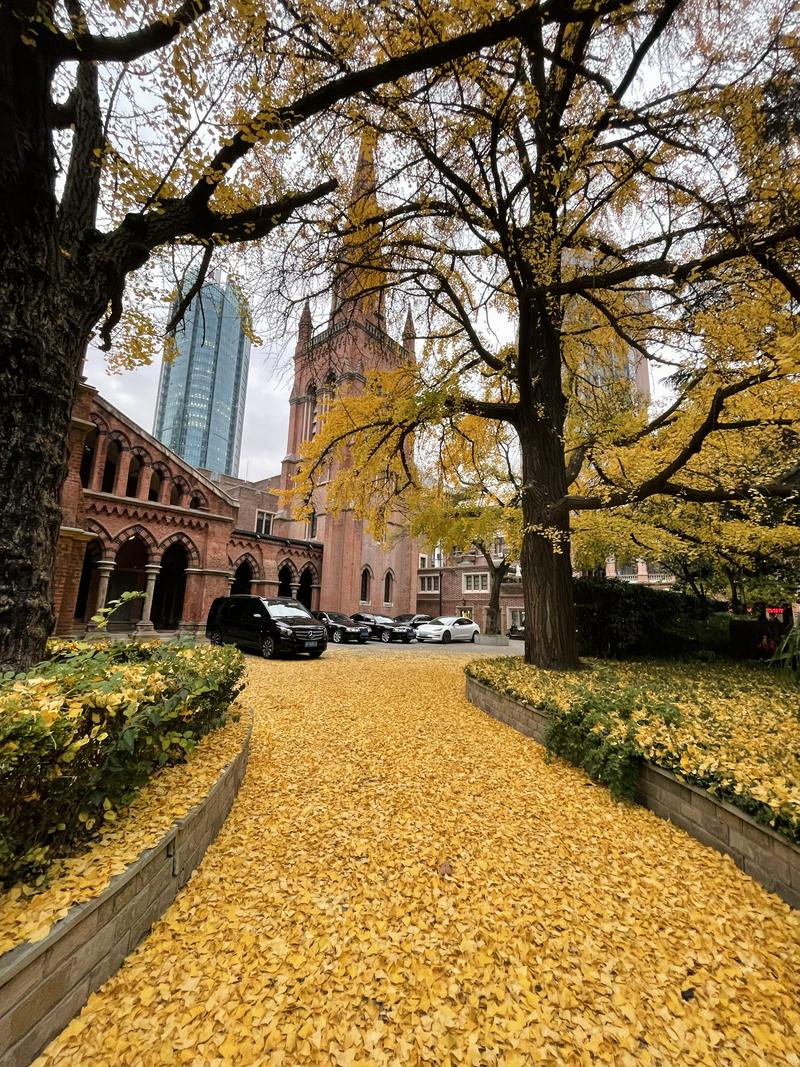 A long shot of the affiliated building of the Holy Trinity Cathedral, along with trees and yellow leaves on the ground