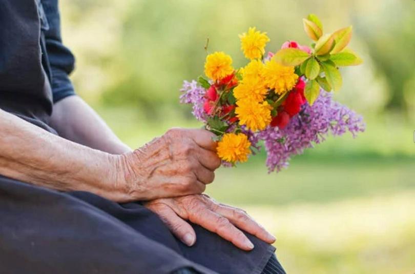 An elderly person holds a bunch of flowers.