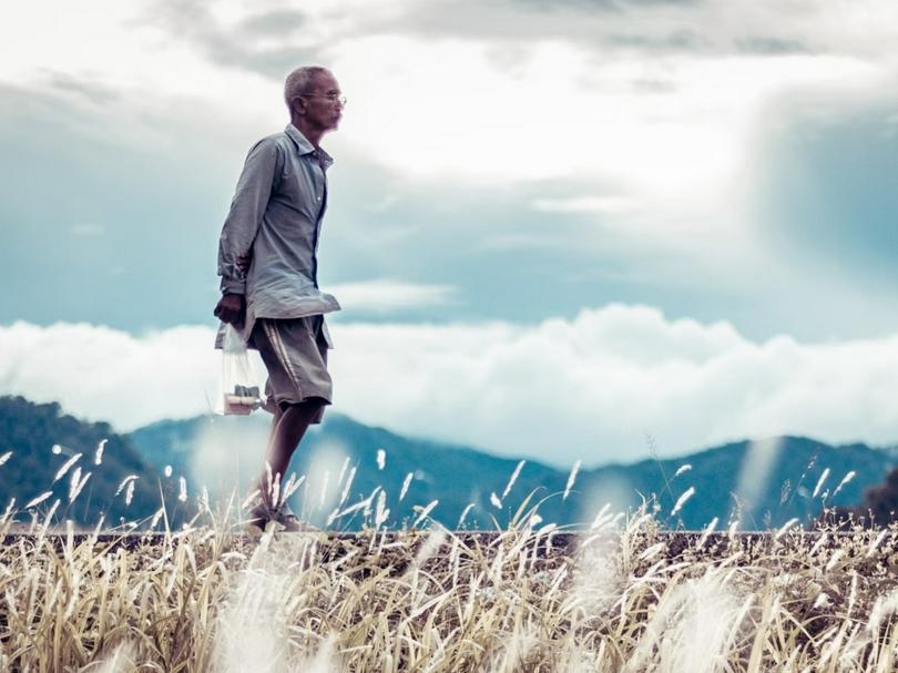An elderly male walking on pathway beside plants during daytime