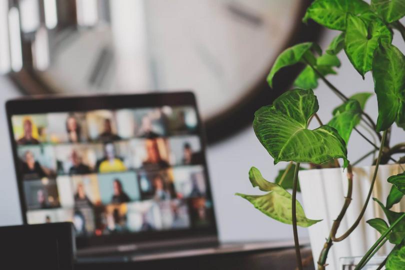 A laptop displaying a virtual meeting is placed next to a green plant.