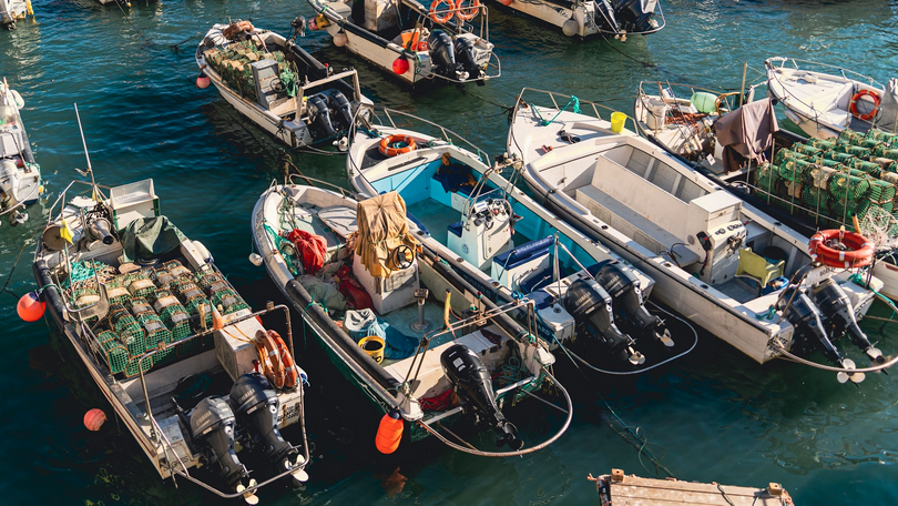 A group of boats are docked in the water.