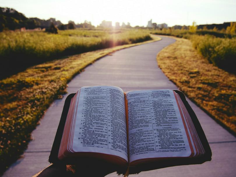 An open Bible on a road amid a field during the daytime