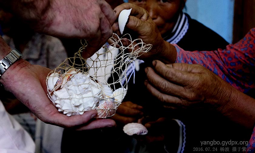 Shell from seashore of Florida (Photo provided to CCD)