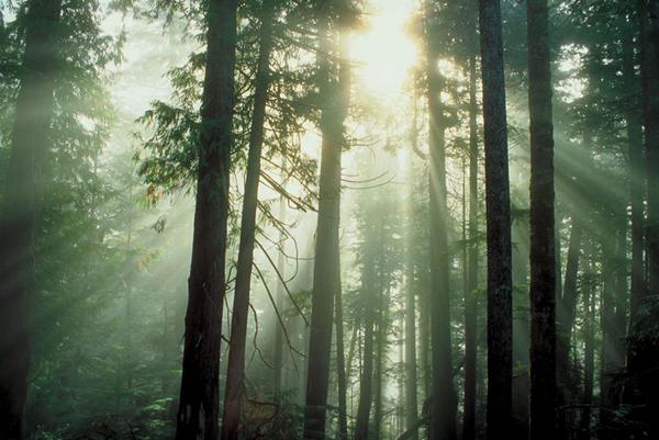 Billy Graham Daily Devotion