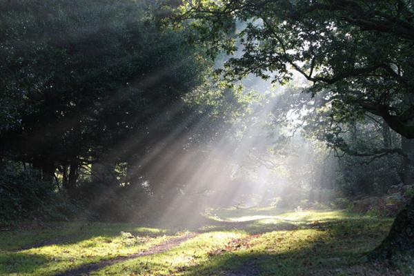 Billy Graham Daily Devotion