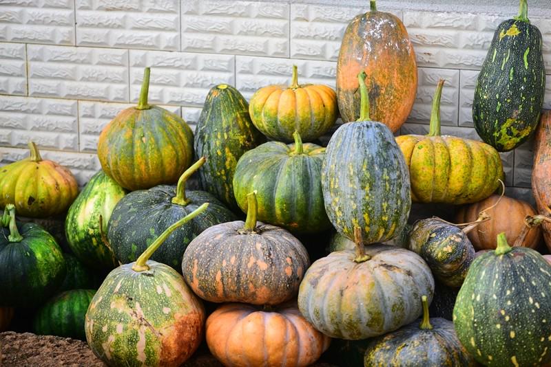 Pumpkins offered by believers at the corner of Banli Church.