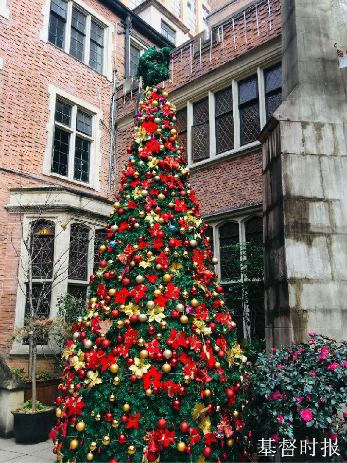 A Christmas tree stands inside the church.