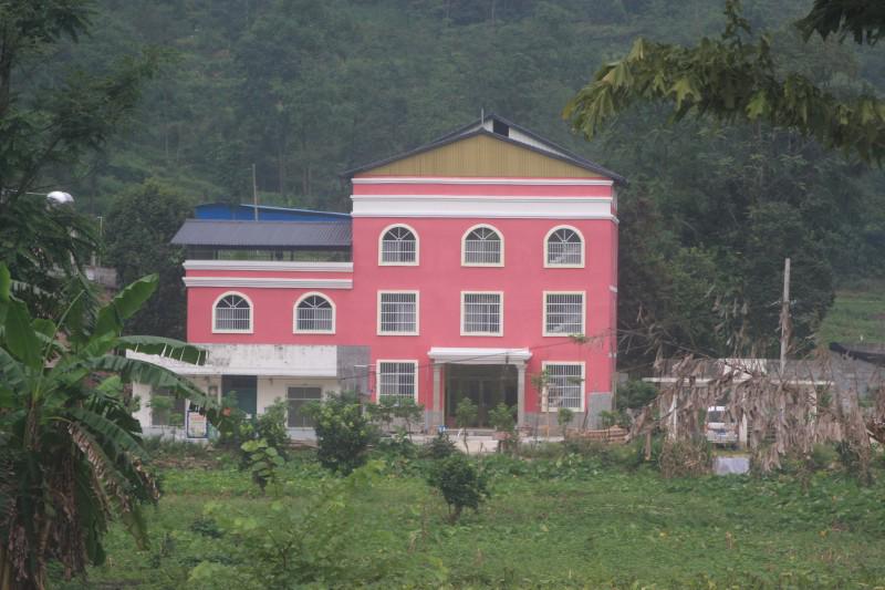 Baise Dalu Church