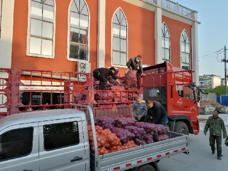 Xianning CC&TSPM of Hubei Province purchased unsalable onions from Yuanmou County, Yunnan in early April 2020.