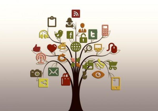 The tree of online services