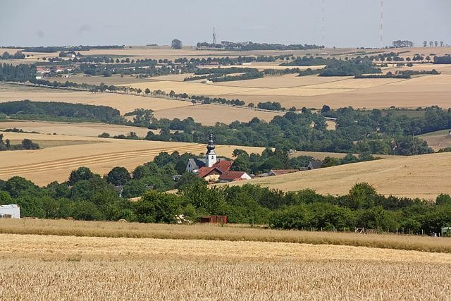 A picture shows some houses in the plain.
