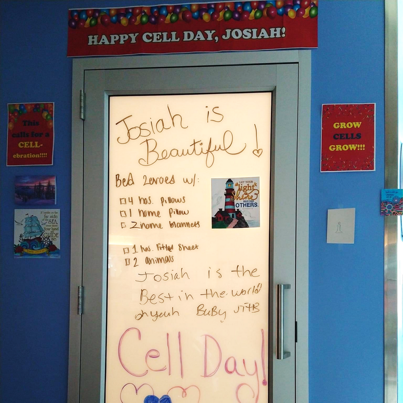 The day of transplant