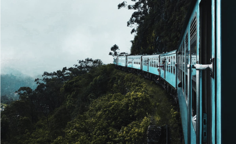 A picture shows a train in the woods.