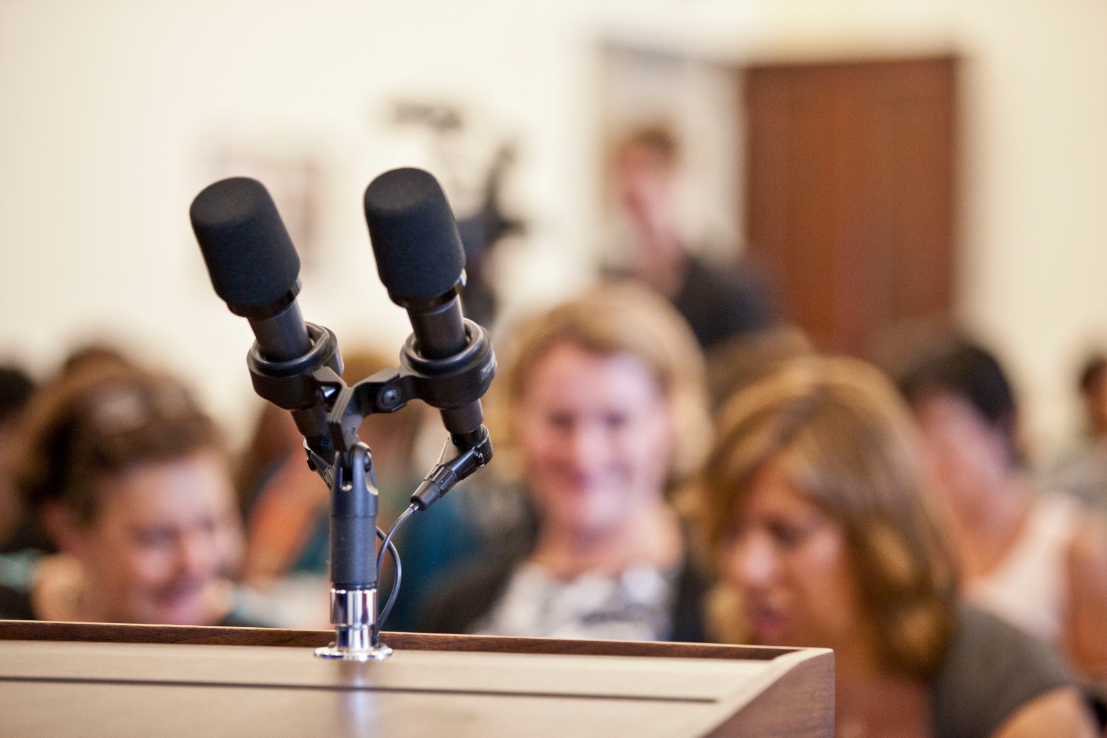 A pair of microphones.